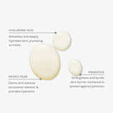 Evolve Organic Beauty Daily Defence Moisture Mist