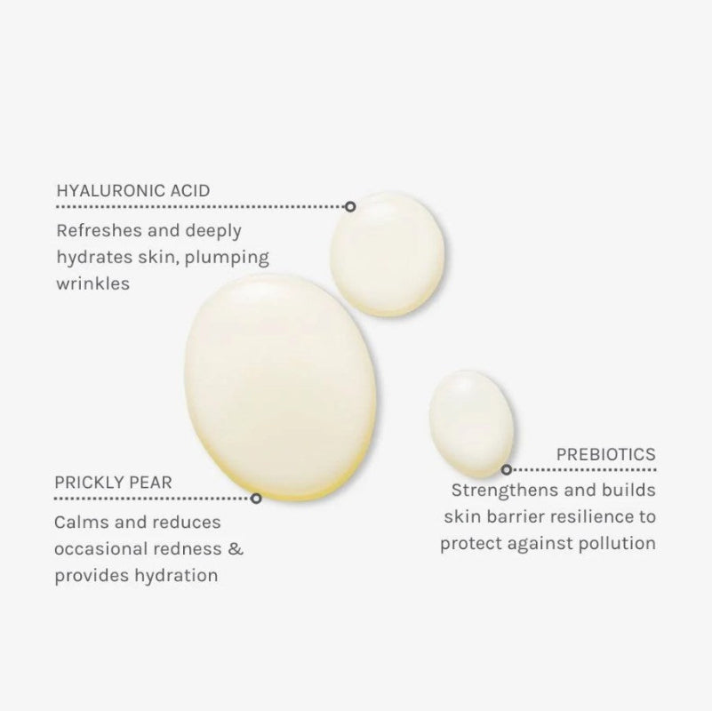 Evolve Organic Beauty Daily Defence Moisture Mist