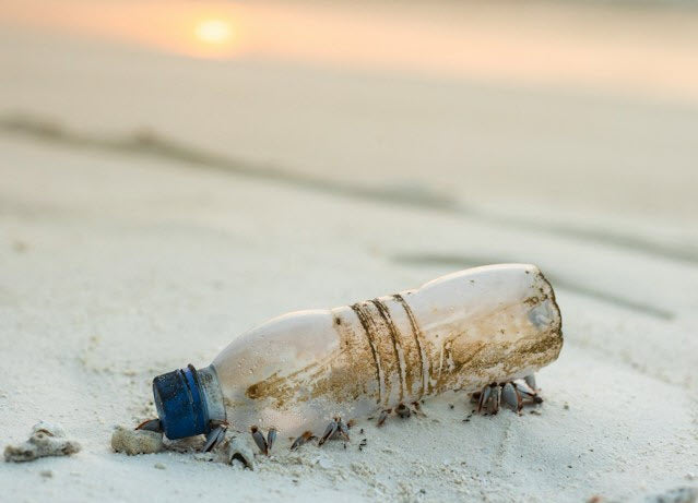 plastic bottle in the ocean to illustrate why it's important to stop using plastic