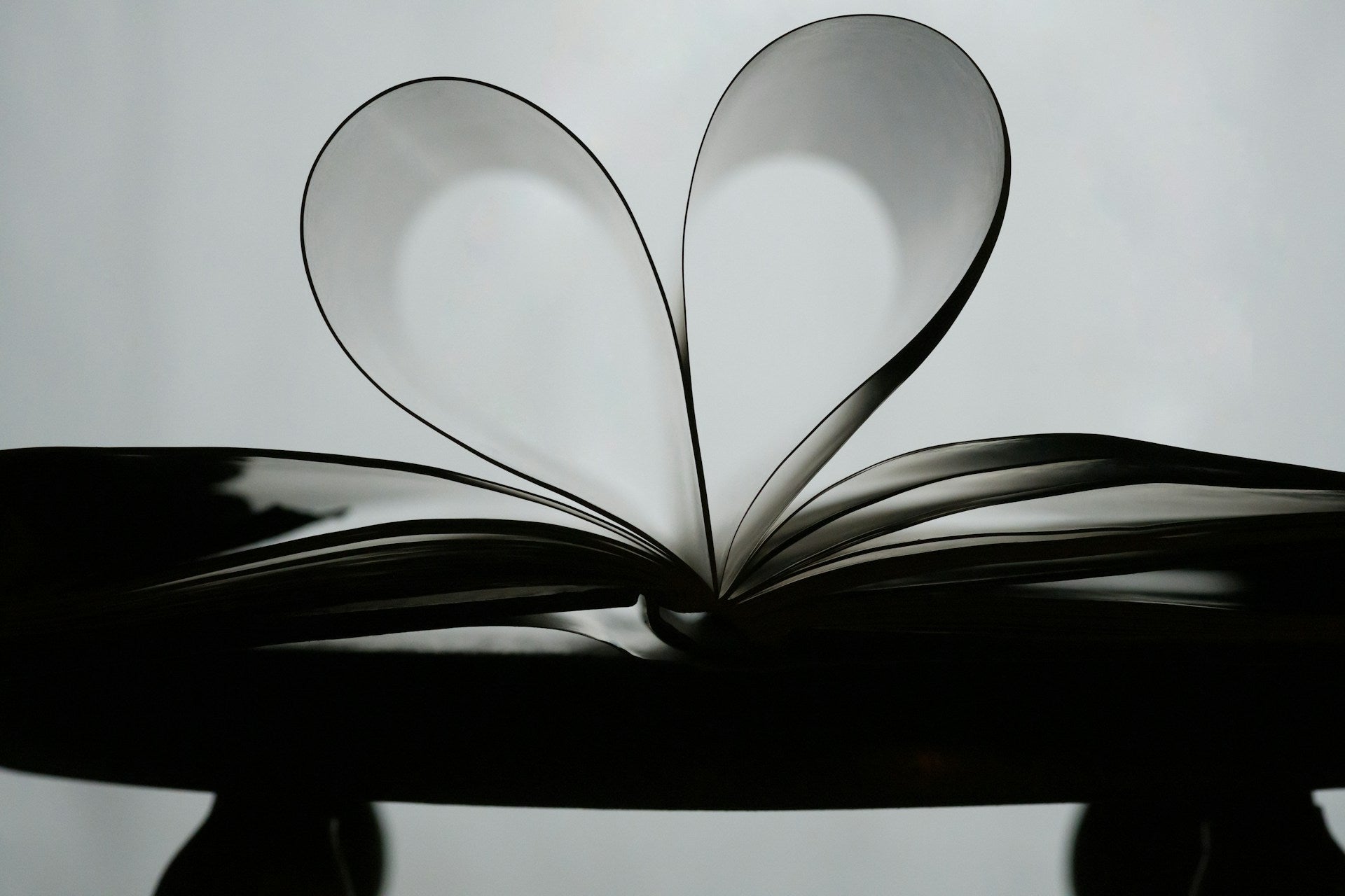 Anti-racism books and resources for education and allyship