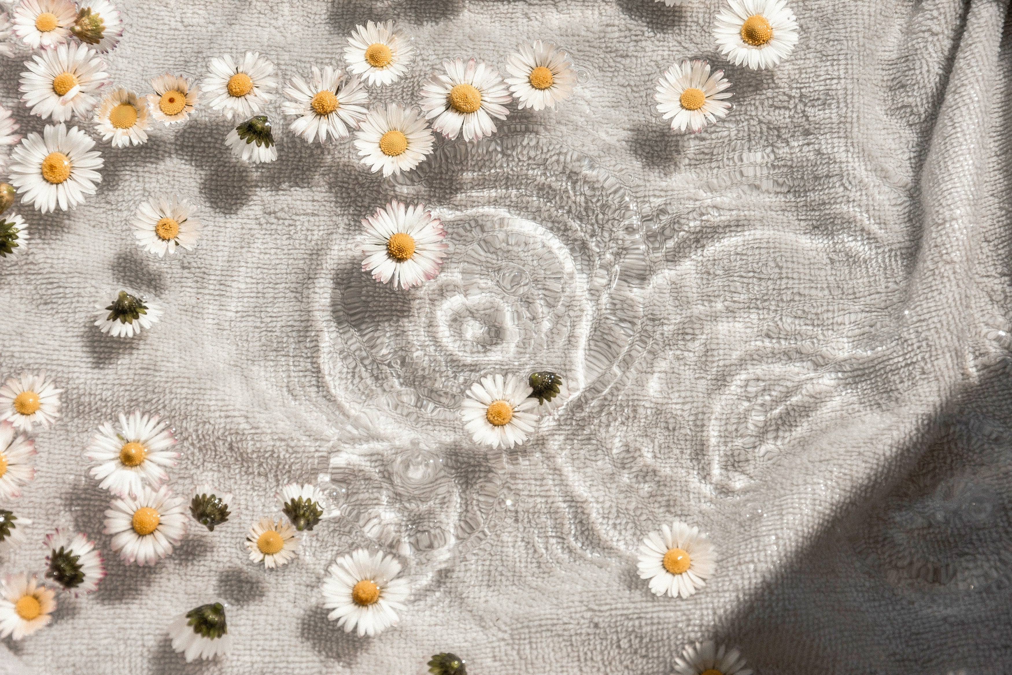 Founder's Letter: Clean Beauty, Clean Home