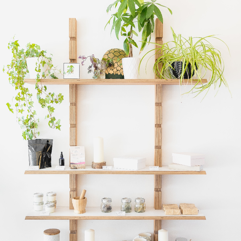 Selection of candles and plants on wooden shelves