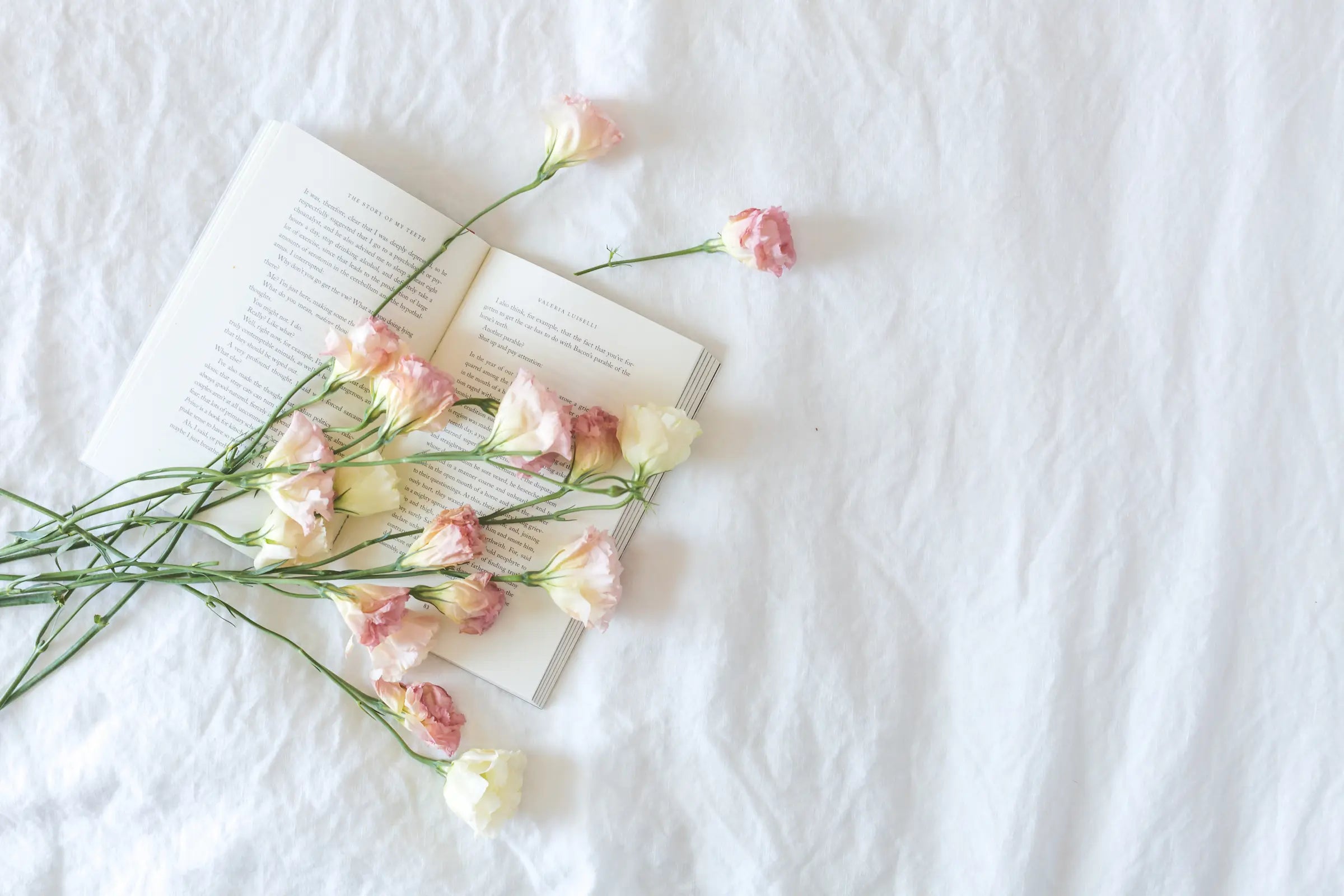 Floral arrangement on an open book with a white background